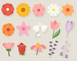 Hand drawn flowers illustration collection