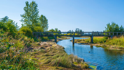 The old bridge, marshland, and popular trees in Campbell River on Vancouver Island, British Columbia, Canada 