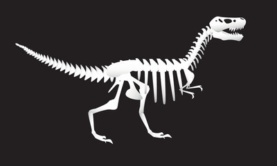 Dinosaur skeleton isolated on black background. Prehistoric animal. Vector graphics