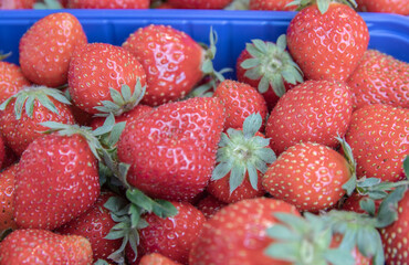 a basket of red strawberries at a farmer's market