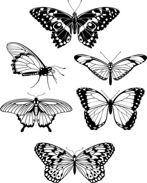 Beautiful stylised butterfly outline silhouettes