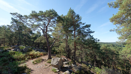 Fototapeta na wymiar Denecourt hiking path 5 in the Cuvier Chatillon rocks. Fontainebleau forest