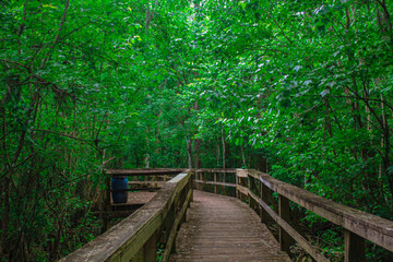 Boardwalk Paradise