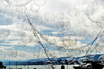 Bubbles in harbor