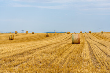 Fototapeta premium A field with golden hay bales in French countryside on the sky background. High quality photo