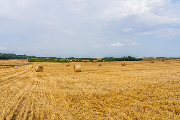 Obraz premium A field with golden hay bales in French countryside on the sky background. High quality photo