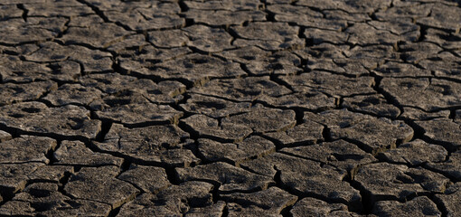 Earth cracked because of drought. The global shortage of water on the planet. Global warming concept. Dry cracks in the land.