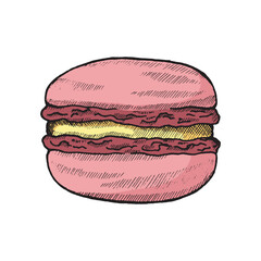 Macaroon. French dessert. Illustration on a white background. Vector illustration.