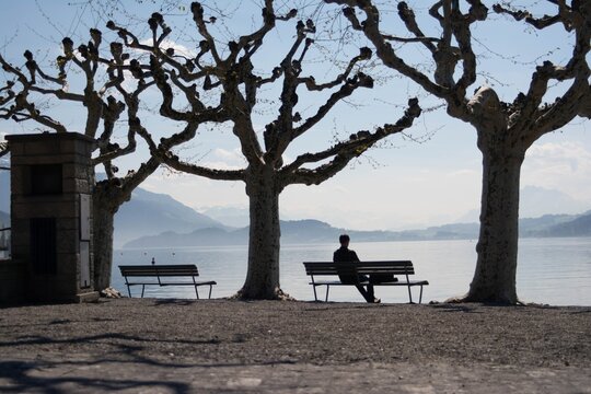 Einsaamer Mann auf einer Bank am See mit Kalen bäumen in Zug in der Schweiz