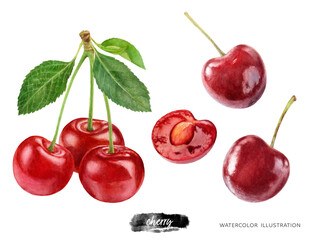 Fototapeta na wymiar Cherry with leaves set hand drawn watercolor illustration isolated on white background