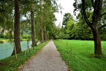 path in the park