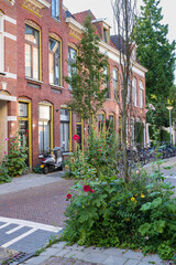 Fototapeta na wymiar Flowers and plants in front of old city houses in Zoutstraat in Groningen city in The Netherlands.