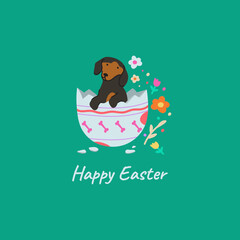 Easter art. Doodle illustration, a card with cartoon dog in egg with spring flowers. Colorful easter card with doxie.
