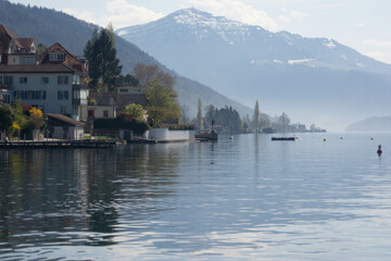 Fototapeta premium Zugersee am Ufer. schweizer See