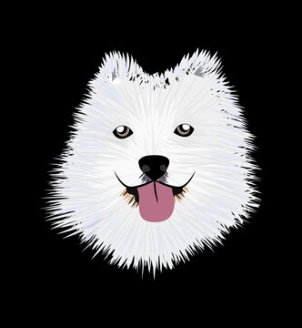 recommend clip art: Samoyed dog illustration. Cute smiling pet, logo, poster illustration. Smiling white Samoyed dog head