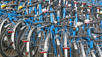 Bicycles in a line for rent	