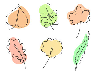 Autumn leaves set in one line art style with colorful abstract shapes. Maple, rowan, oak, willow, aspen and linden tree autumn fallen leaves design. Isolated on white background. Vector illustration.