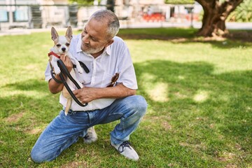 Naklejka na ściany i meble Senior man smiling confident hugging chihuahua at park