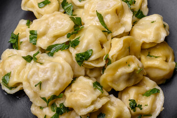 Delicious fresh dumplings with turkey meat, with spices and herbs