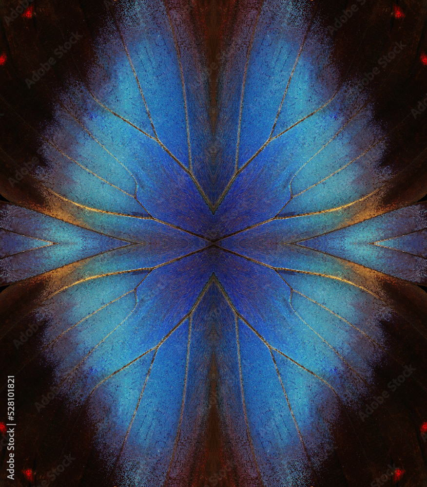 Aufkleber abstract symmetrical ornament. abstract pattern from morpho butterfly wings. blue tropical butterfly wings texture background