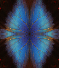 abstract symmetrical ornament. abstract pattern from morpho butterfly wings. blue tropical...