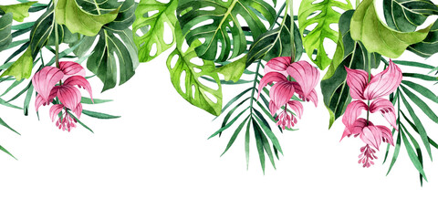 watercolor drawing. horizontal border with tropical leaves and flowers. banner with green palm leaves, monstera