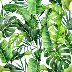 watercolor drawing. seamless pattern with tropical leaves of palm, monstera. green leaves of rain forest on white background