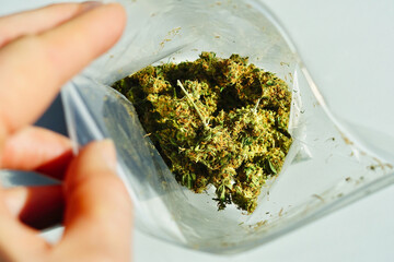 Dried Marijuana flower buds in a plastic bag. A hand is opening the bag.