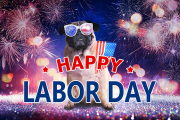 Happy Labor Day. Cute dog with sunglasses and American flag on festive background with fireworks and glitters, bokeh effect