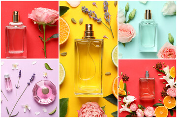 Beautiful collage with photos of luxury perfume and ingredients represent their fragrance notes on...