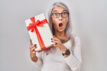 Middle age woman with grey hair holding gift afraid and shocked with surprise and amazed expression, fear and excited face.