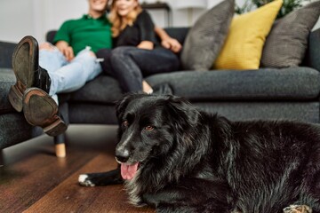 Young caucasian couple smiling happy and hugging sitting on the sofa with dog at home.