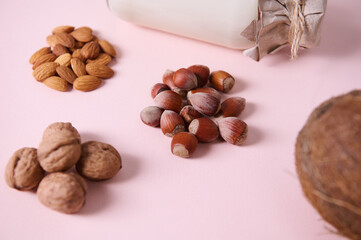 Selective focus on organic hazelnuts nearby assortment of wholesome almond nuts, walnuts, coconut and a bottle of non lactose, dairy free, plant based milk, isolated on pink background. Copy ad space