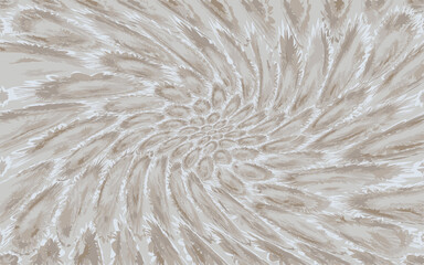 close up of a feather white and brown pattern graphic art design wallpaper