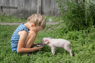 Toddler girl feeds pig piglet. Сoncept love of nature and love for animals. © Анна Перфилова