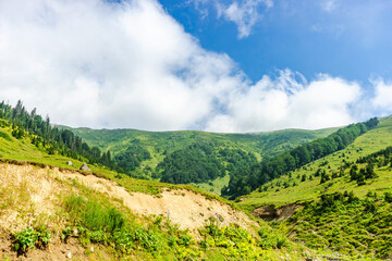 Caucasus mountain in georgian region Guria
