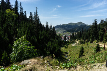 Fototapeta na wymiar Caucasus mountain in georgian region Guria