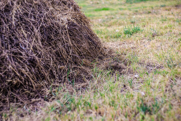 Village lifestyle with hay stack