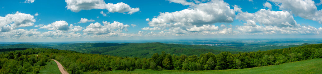 Fototapeta premium Panorama of the spring forest near the mountain town. Picturesque landscape of a sunny day.