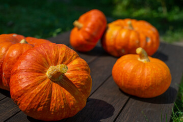 Close up view of cut pumpkin on wooden surface and nature background. Copy space