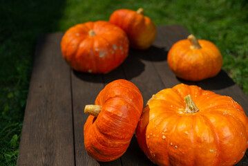 Close up view of cut pumpkin on wooden surface and nature background. Copy space