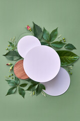 White round template podium mockup natural organic cosmetic product presentation promo with green...