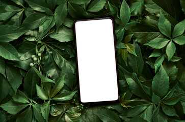 White empty mobile phone screen template mockup for product app ads concept on green leaves nature organic cosmetic flat lay background, trendy stylish minimalist flatlay backdrop. Smartphone mock up