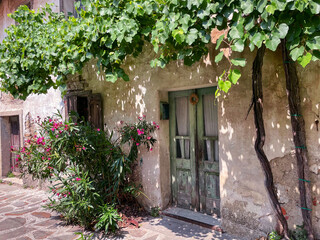 Green doors of an old monumental house circled with grapevine and rhododendron - obrazy, fototapety, plakaty