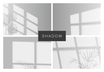 Shadow overlay effects. Vector window light with plant, drop shadow on wall. Photo-realistic reflection. Natural soft lighting for mockup, presentation, web design, banner. Sunlight illustration