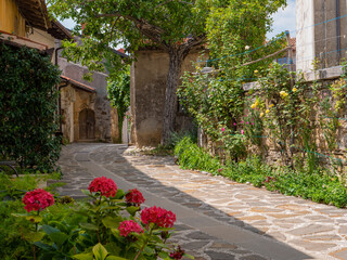 Lovely stone street winding through picturesque small historic village Šmartno - obrazy, fototapety, plakaty