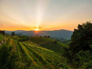 Autumn sun peeking over hilltop and touching gorgeous countryside with vineyards