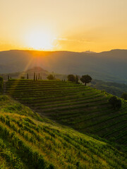 Magnificent terraced vineyards illuminated with golden sunrise on autumn morning