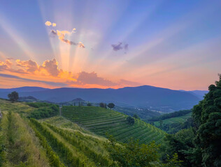 Stunning play of sun rays spilling across sky and beautiful vineyard landscape