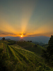 First morning sunrays stretching across the sky and picturesque wine country